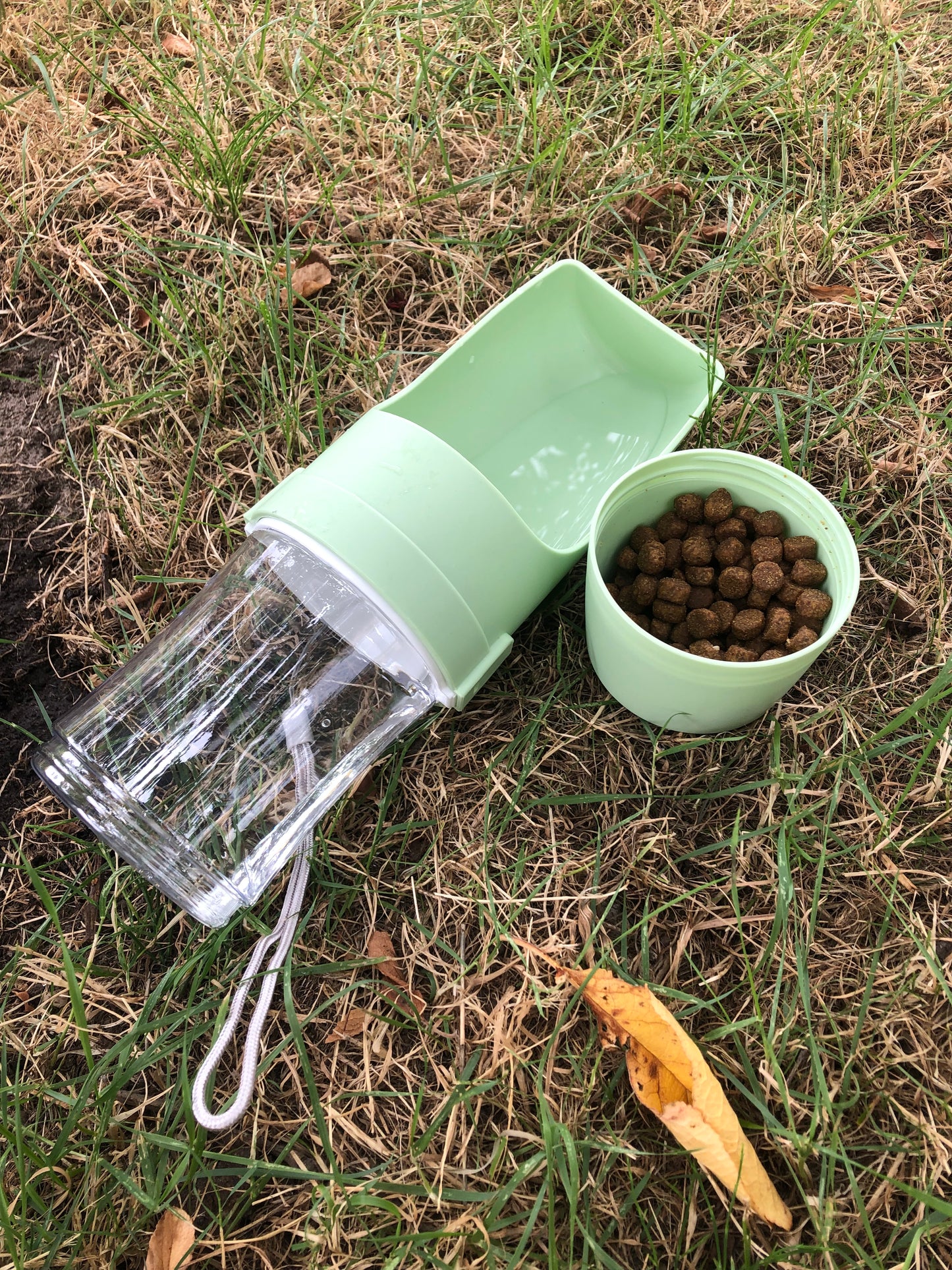Kit Balade Été Pawtrail™ — Gourde, Laisse LED & Distributeur de Sacs pour Chien