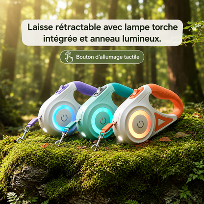 Kit Balade Été Pawtrail™ — Gourde, Laisse LED & Distributeur de Sacs pour Chien