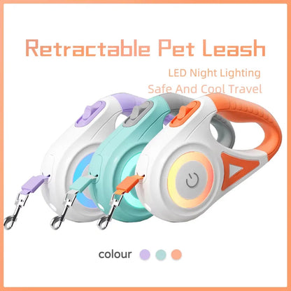 Kit Balade Été Pawtrail™ — Gourde, Laisse LED & Distributeur de Sacs pour Chien